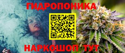 соль ск Гусев
