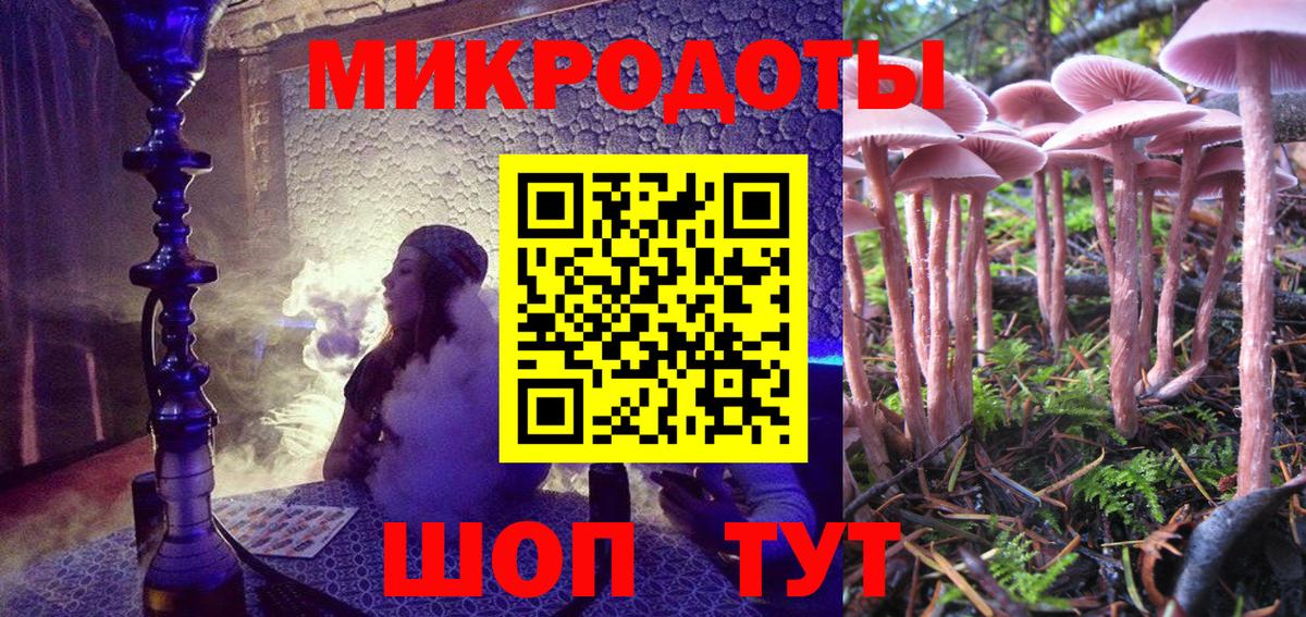 Псилоцибиновые грибы прущие грибы Зеленогорск
