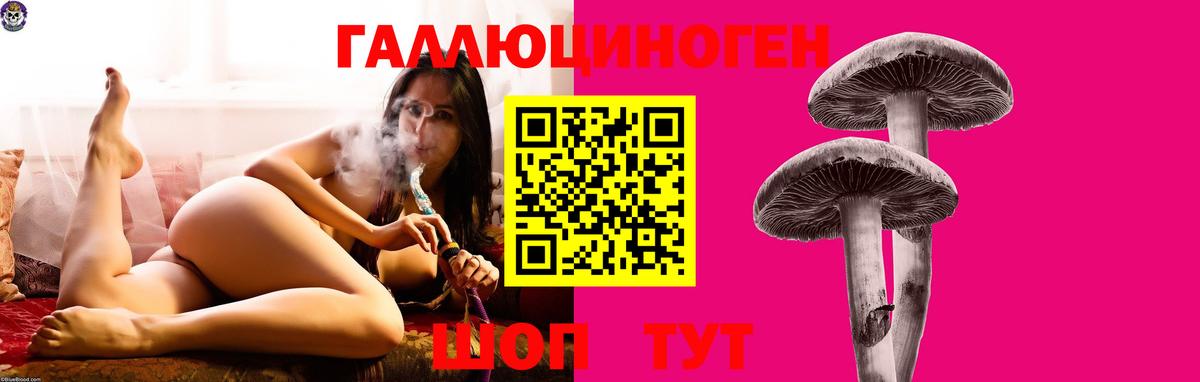 Зеленогорск  Галлюциногенные грибы MAGIC MUSHROOMS  купить  сайты  Вход с VPN 