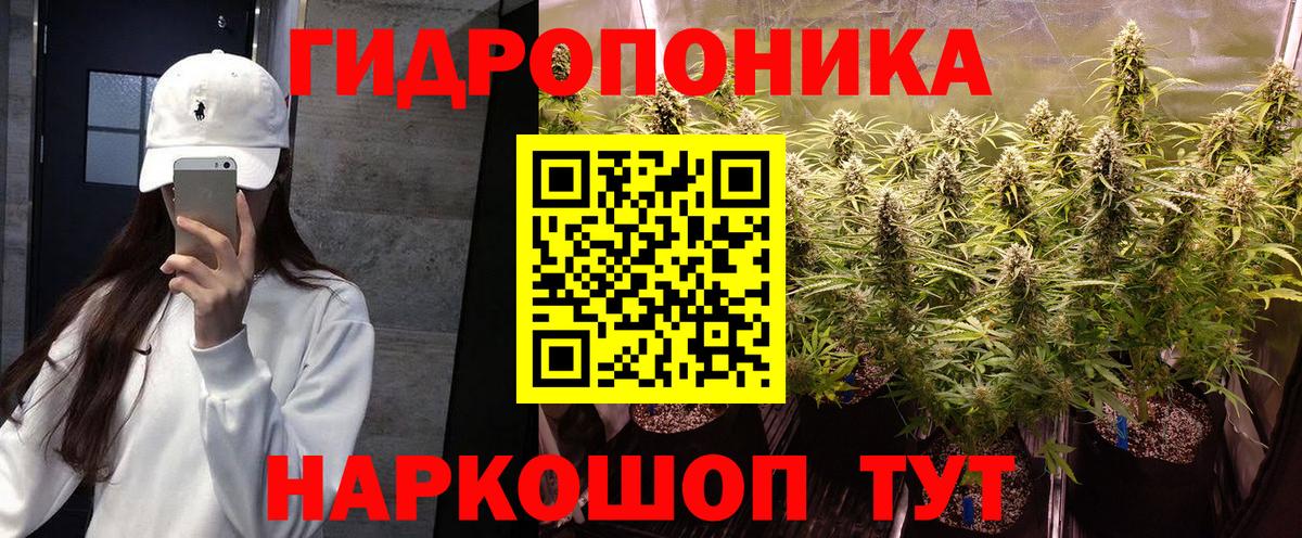 Каннабис гибрид Зеленогорск